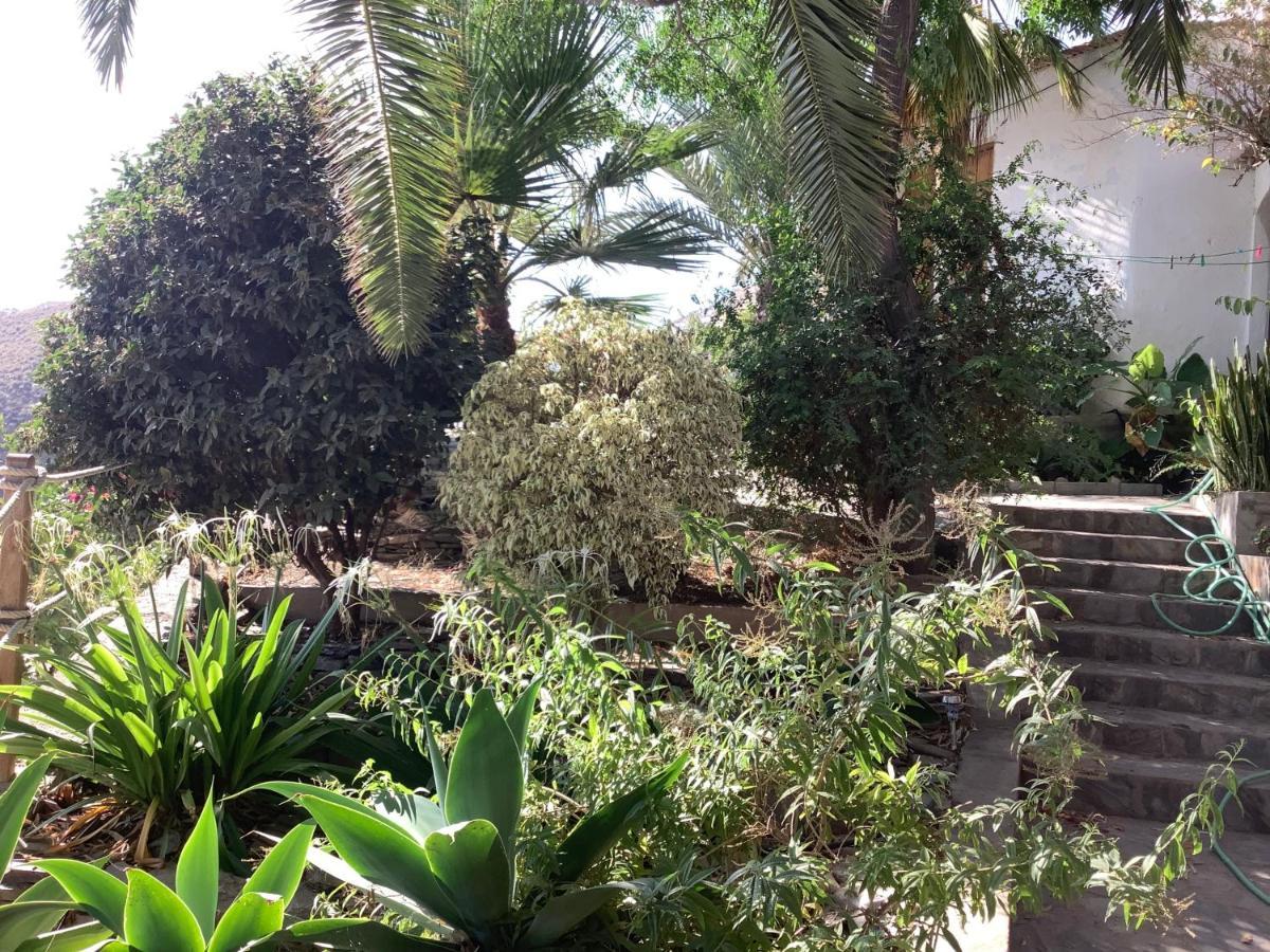 AlbunolCortijo De La Fuenteアパートメント エクステリア 写真