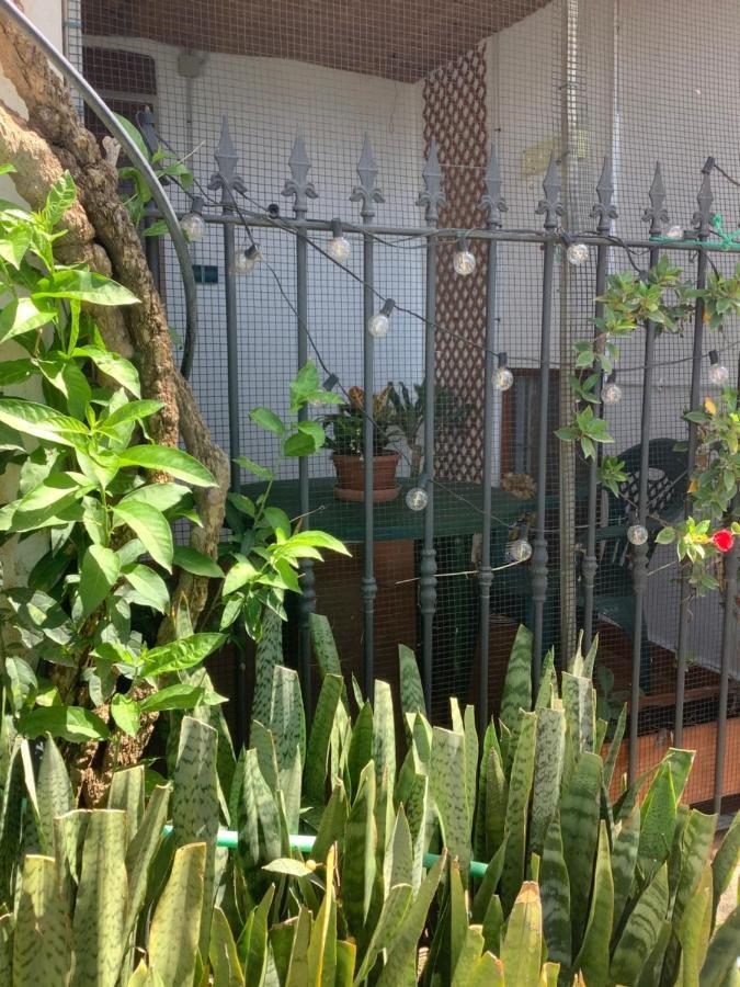 AlbunolCortijo De La Fuenteアパートメント エクステリア 写真